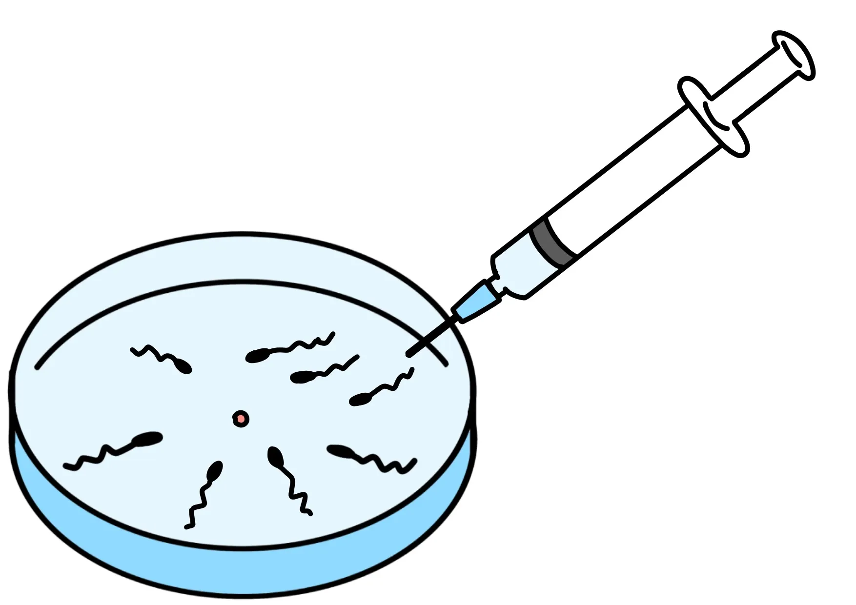 三国ヶ丘のすぎもと鍼灸院による、体外受精・移植後の着床環境を整えるための鍼灸施術